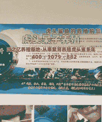 养殖鱼怎么销售