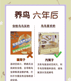 怎么加盟雏鹰养殖