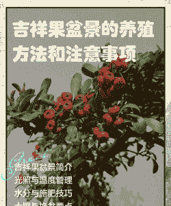 吉祥果怎么养殖