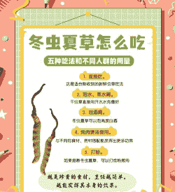 养殖虫草怎么吃