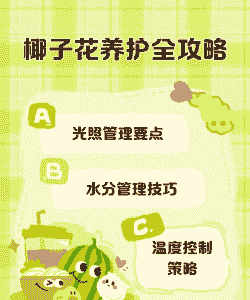 椰子花怎么养殖