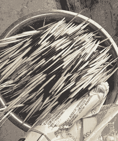 养殖豪猪怎么样