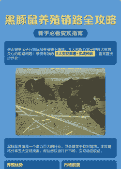 养殖怎么打开销路