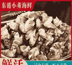 海锥锥怎么养殖