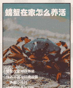 大闸蟹怎么养殖方法