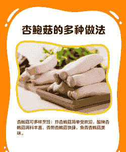 杏鲍菇怎么养殖