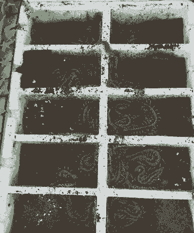 蜈蚣养殖怎么样