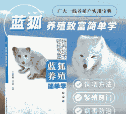 养殖蓝狐怎么样