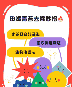 养殖田螺青苔怎么办