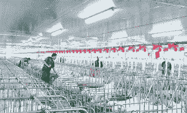 做养殖业怎么样