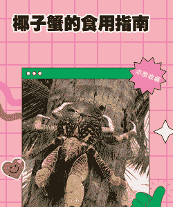 椰子蟹怎么养殖