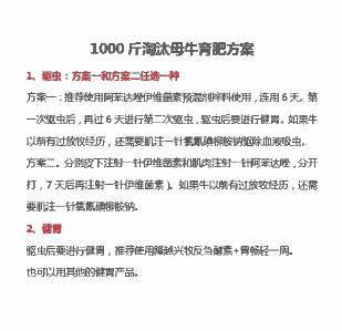 育肥牛怎么养殖