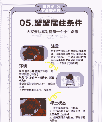 螃蟹是怎么养殖的