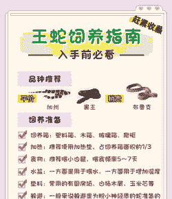 大王蛇怎么养殖