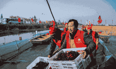 养殖龙虾怎么捕捞