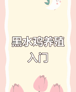 黑水鸡怎么养殖