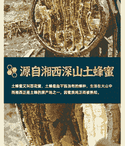 土蜂蜜怎么养殖