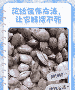 花蚬子怎么养殖