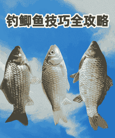 养殖大鲫鱼怎么钓