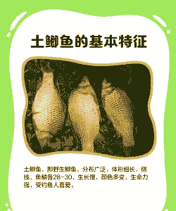 土鱼怎么养殖技术
