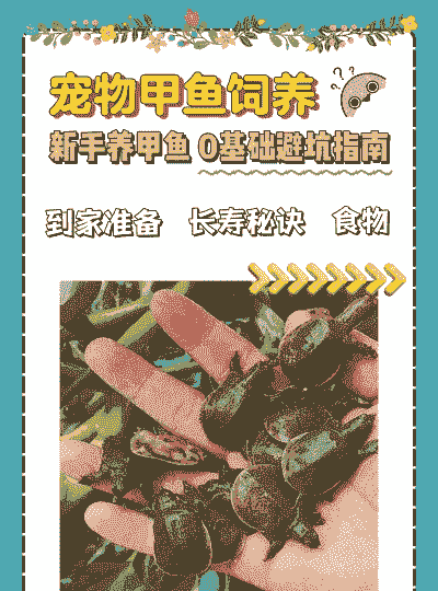 养殖土鳖怎么样