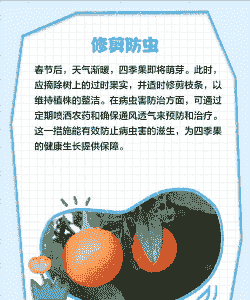 四季果怎么养殖