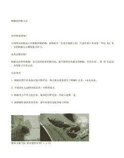 螳螂怎么养殖技术