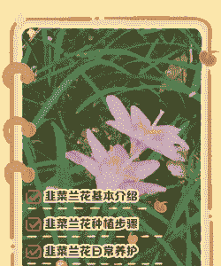 韭菜兰怎么养殖