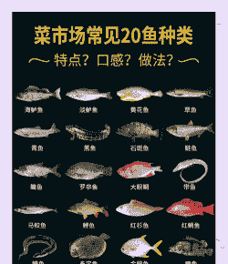 超市活鱼怎么养殖