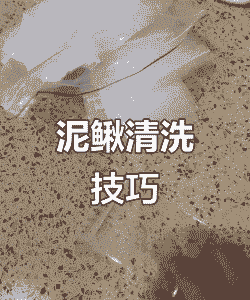 泥鳅养殖怎么消毒