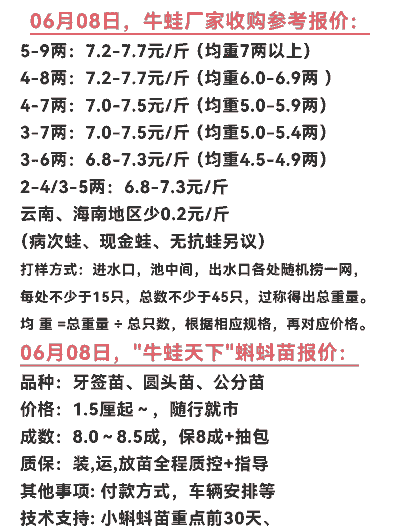 养殖牛蛙怎么销售