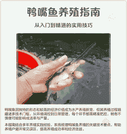 鸭嘴鱼怎么养殖