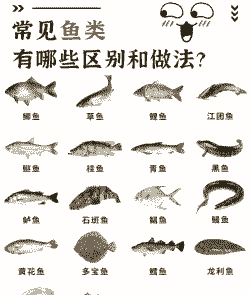 裸斑鱼怎么养殖