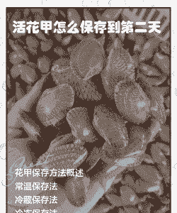 花甲应该怎么养殖