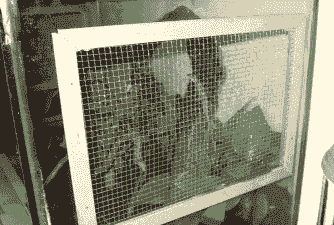 壁虎养殖怎么销售