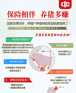 养殖保险怎么卖