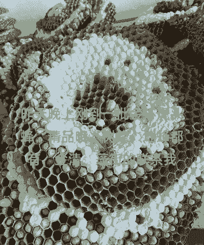 地黄蜂怎么养殖