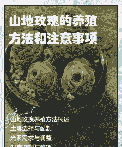 山地玫瑰怎么养殖方法