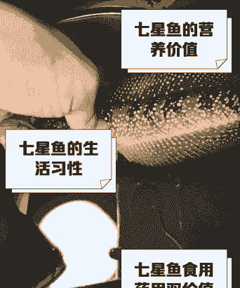 星子鱼 怎么养殖