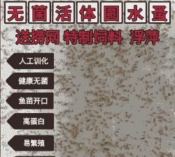 蹦蹦虫怎么养殖