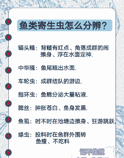 小鱼虫怎么养殖