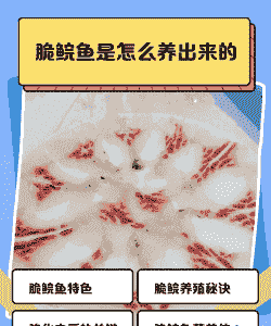 脆鱼怎么养殖技术