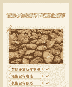 黄蚬子怎么养殖