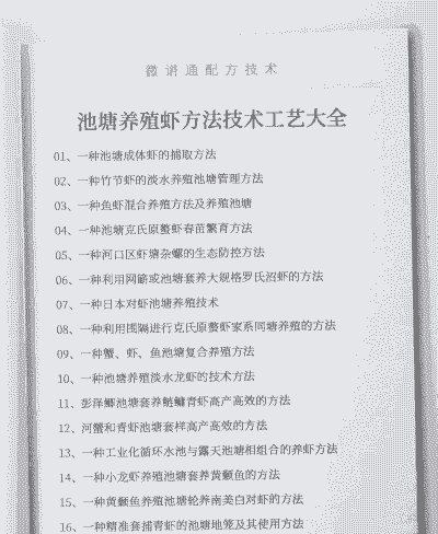 种虾怎么养殖技术