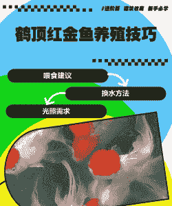 鹤顶红怎么养殖