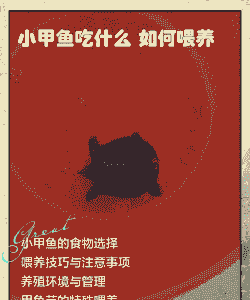 野生小甲鱼怎么养殖