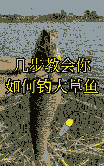 养殖塘怎么钓草鱼