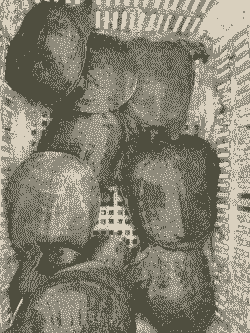 鳖养殖野生眉怎么