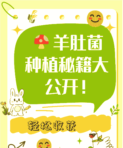 羊肚菌怎么养殖