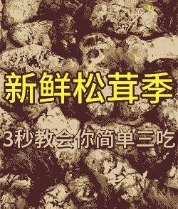 养殖松茸怎么吃